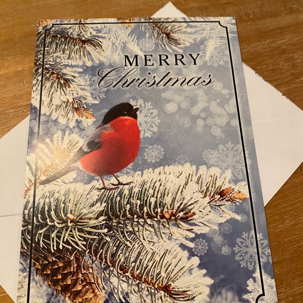 Bullfinch on Pine Tree Holiday Peace Hope Love Merry Christmas‎ Greeting Card